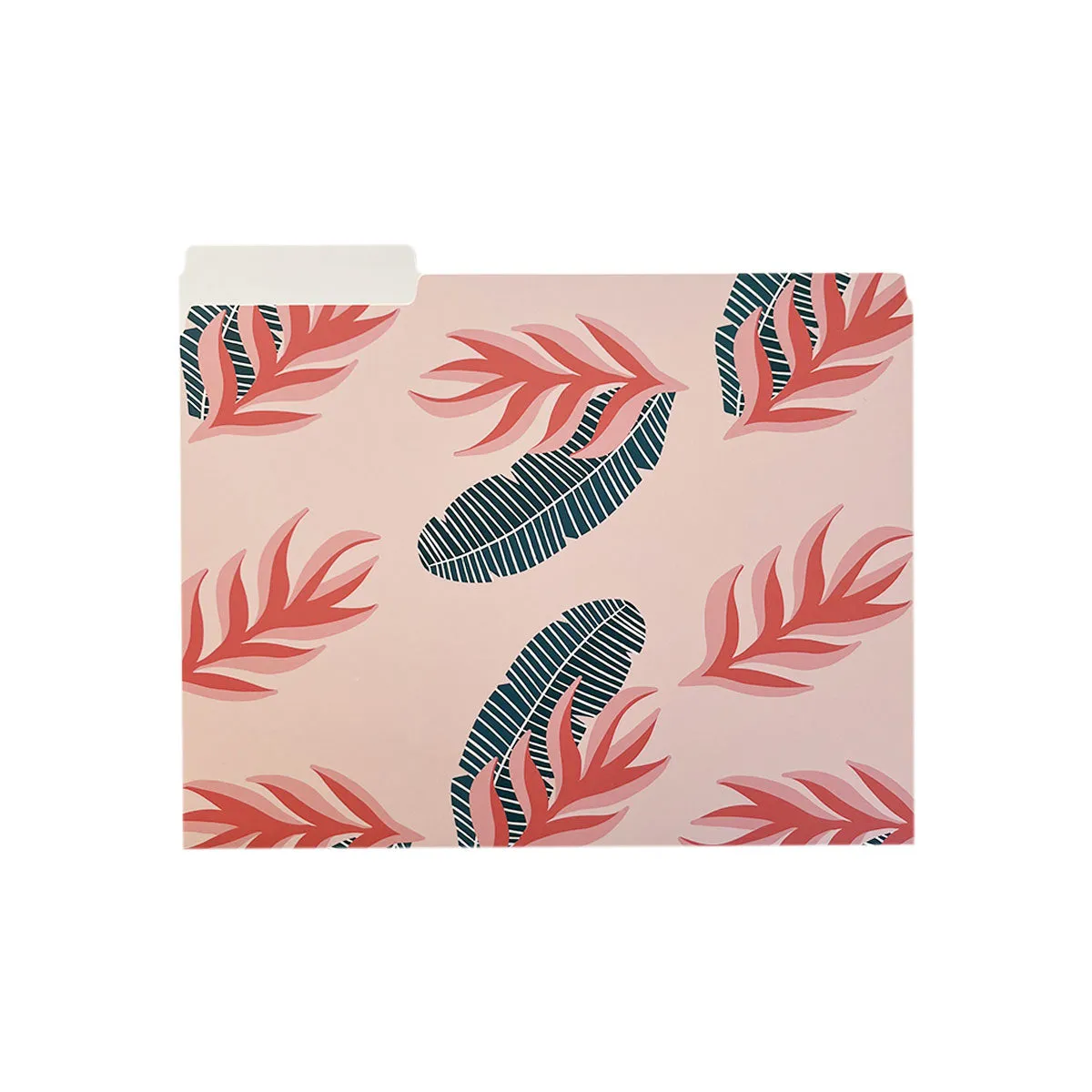 Birds of Paradise File Folders, Set of 3