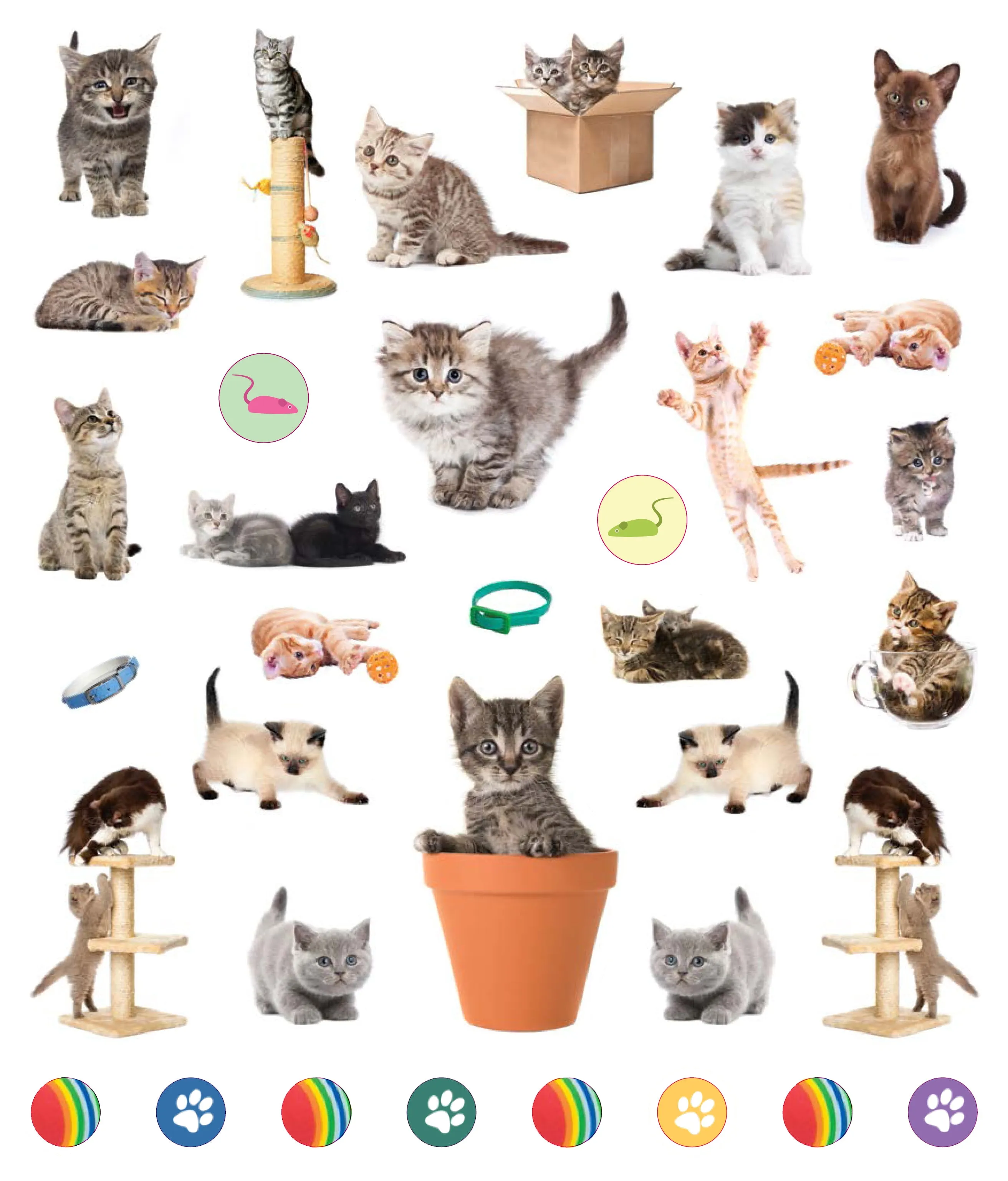EyeLike Stickers: Kittens