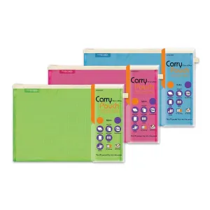 Foldermate 8504-ASS Cheque Pouch Folder 23x13cm Box