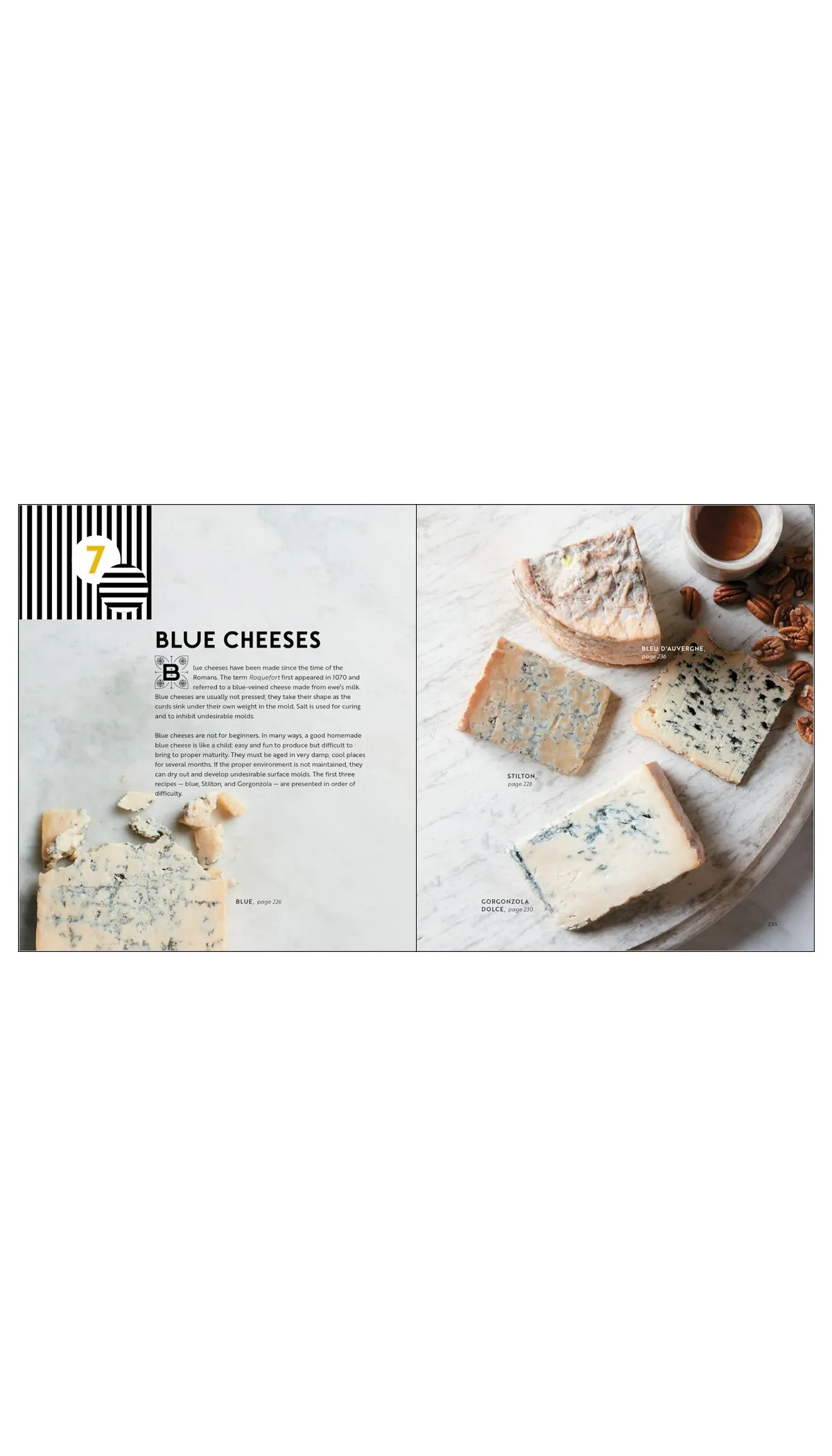 Home Cheese Making: Recipes for 100 Favorite Cheeses