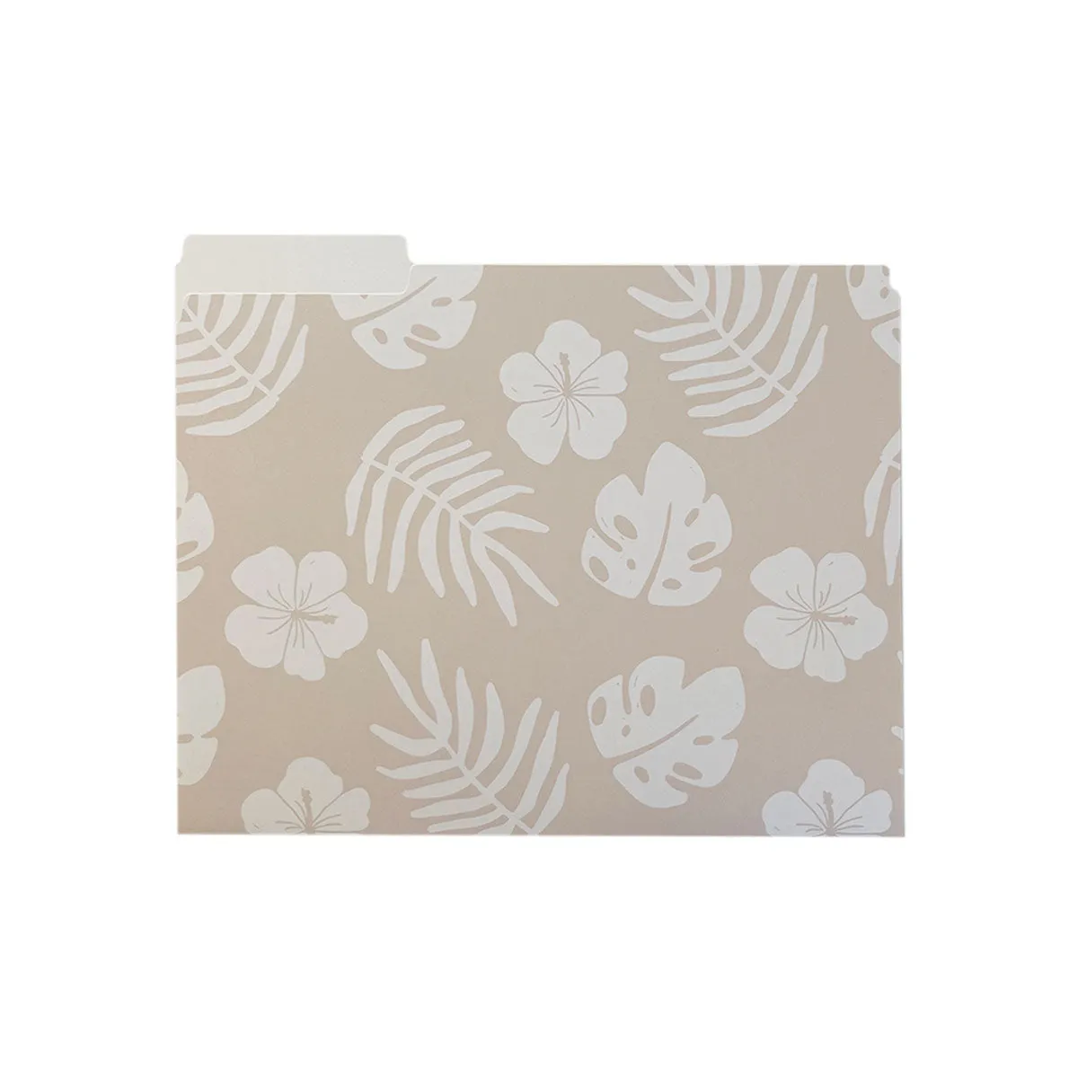 Hula Girls File Folders, Set of 3