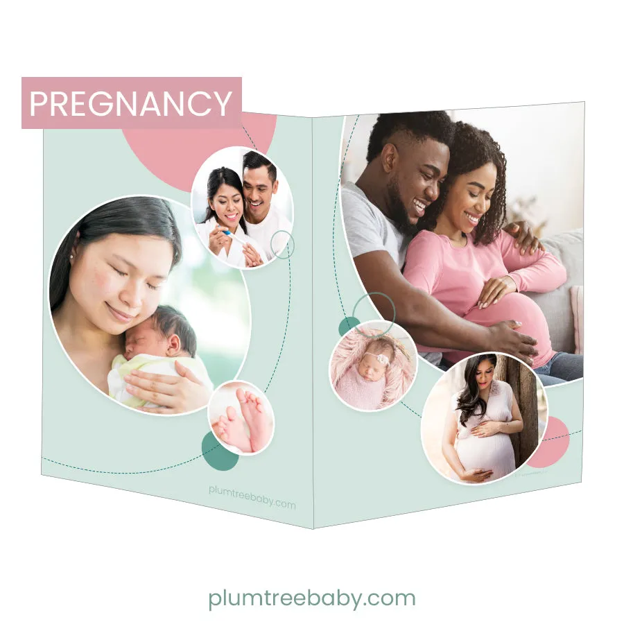 Pocket Folders - Pack of 10