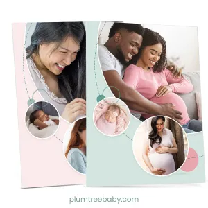Pocket Folders - Pack of 10